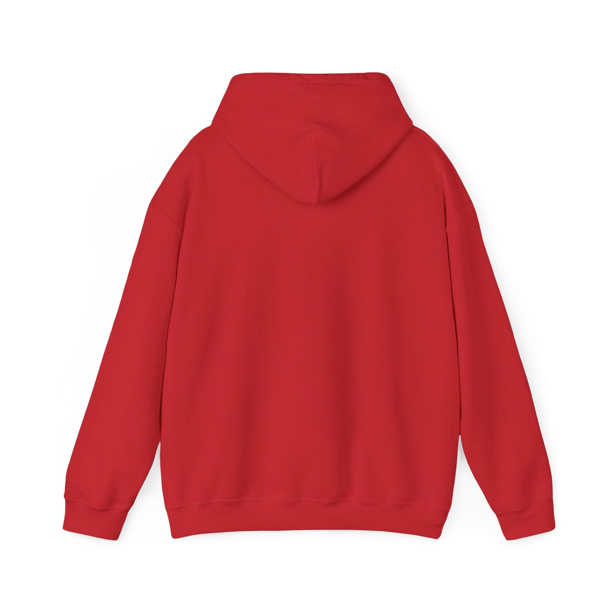 Eye Don't Chase Hooded Sweatshirt